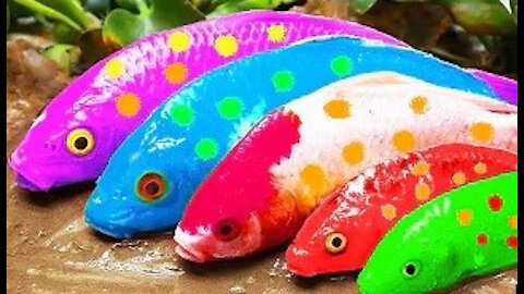 Spotted Fish Funny Experiment Video - Pink Catfish, Electric Eel