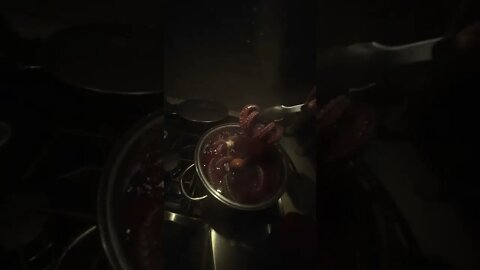 Boiling Fresh Octopus