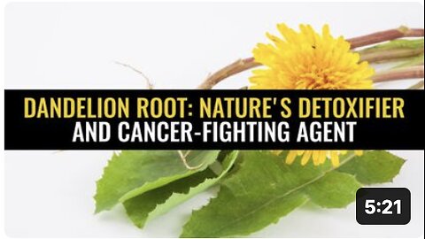 Dandelion root: Nature's detoxifier and cancer-fighting agent
