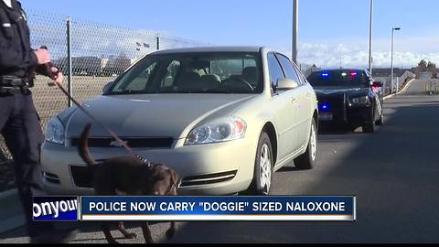 ISP drug dogs practice in Ada County and face Fentanyl threat