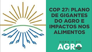 COP 27: Gigantes do agro apresentam plano que vai impactar produção de soja e pecuária; saiba como!