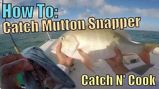 How to Catch MONSTER Mutton Snapper Fishing Key Largo | Catch N Cook