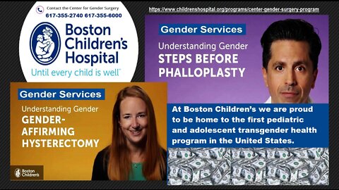 Libs Of Tik Tok Matt Walsh - Schools Hospitals Children Gender Affirm