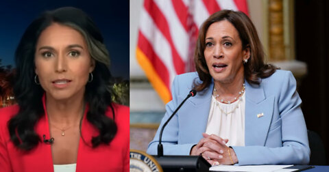 Tulsi Gabbard Lights Up Kamala Harris for 'Hypocrisy' of Defending Brittney Griner