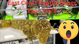 Oaks, PA, East Coast Reptile Super Expo 2023