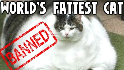 10 Banned World Records
