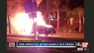 Police: Tampa man charged with DUI manslaughter after deadly, fiery crash