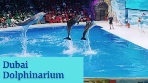 Dubai Dolphinarium