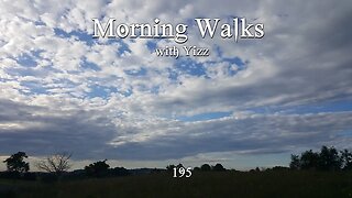 Morning Walks with Yizz 195 (re-upload, original date March 7th)