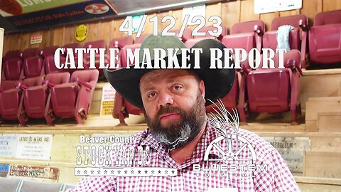4/12/23 Beaver County Stockyards Cattle Market Report