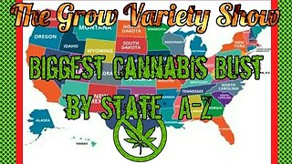 Arizona : Biggest State Cannabis Bust