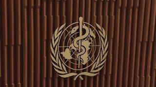 WATCH: WHO to accelerate research, innovation against coronavirus outbreak (CZQ)