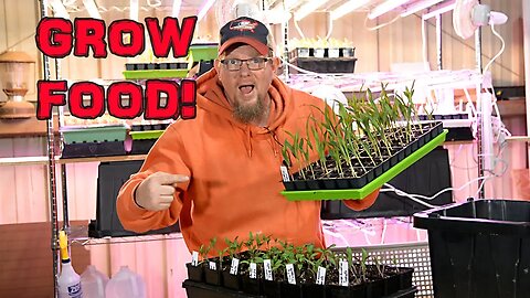 Start Your Vegetables From Seed! Here Is How I Up-Pot Them