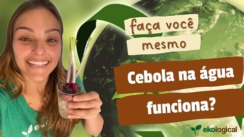 Como plantar cebola na água? MUITO FÁCIL