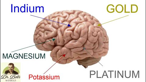 Minerals For Brain Health