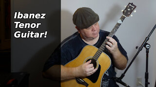 Tenor Guitar - Ibanez