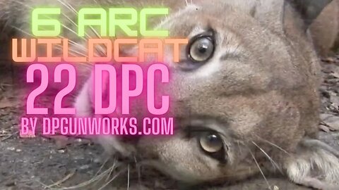 6 ARC WILDCAT !!! The 22 DPC... and it's AWESOME!!