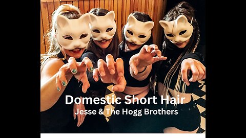 Domestic Short Hair (Official Band Video)