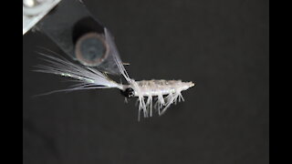 Fly Tying the Grass Shrimp