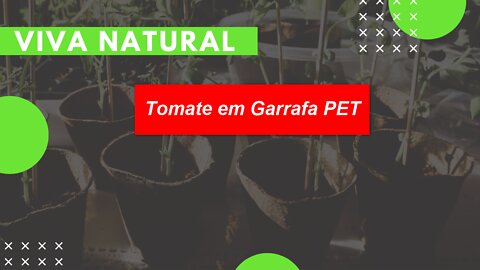Video01 - Vegetable garden at home for beginners - Tomato in PET Bottle / Video01 - Horta em casa iniciante - Tomate em Garrafa PET