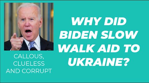 WHY DID BIDEN SLOW WALK AID TO UKRAINE?