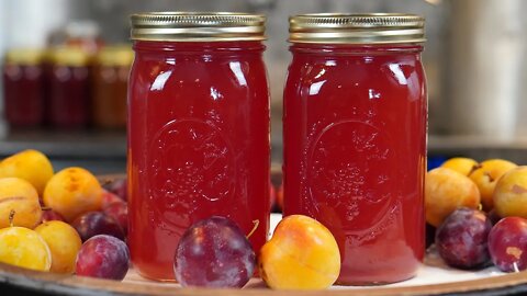 Canning Plum Juice - How to Can Plum Juice at Home