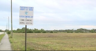 Palm Beach County planning to build new dog park