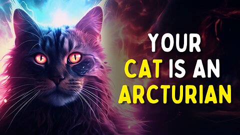 Your CAT Manifested YOU | SECRET Spiritual SIGNIFICANCE of Cats