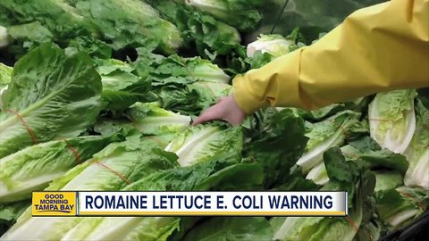 Romaine lettuce still on store shelves in Tampa Bay, hours after CDC recall linked to E. coli