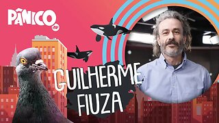 GUILHERME FIUZA - PÂNICO - AO VIVO - 27/08/20