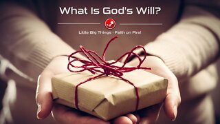 WHAT IS GOD'S WILL? - What Does God Want For You? - Daily Devotionals