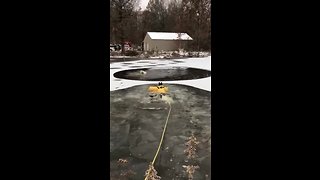 Norton firefighters rescue dog that fell through pond ice