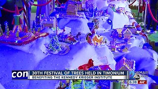 30th Festival of Trees held in Timonium, benefiting the Kennedy Krieger Institute