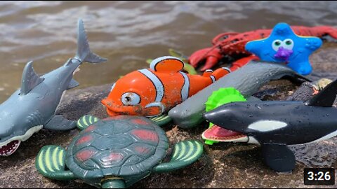 Sea Animal Toys at the Shore this Summer