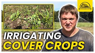 Small Scale Cover Crop Irrigation