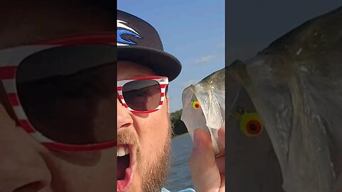 Catch Tank Crappies! #crappie #fishing #castcray #fishingtutorial #jesus #fish #fishinggear #shorts