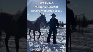 REAL CDN COWBOY Severely Injured Horse Rescue PT.1