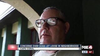 Concerns over dogs let loose in neighborhood