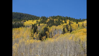 Crested Butte Brush Creek Hike Autumn 2020