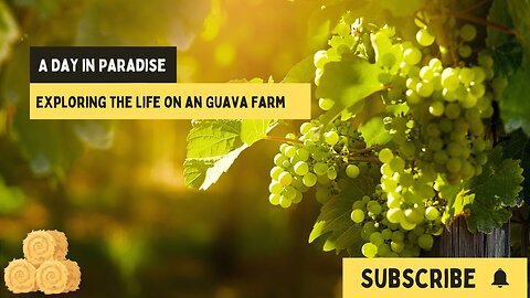 A Day in Paradise: Exploring Life on an Enchanting Guava Farm | Village Vibes