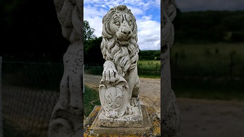 Lion Statue in France 🦁🦁 #shorts #shortvideo #youtubeshorts #status