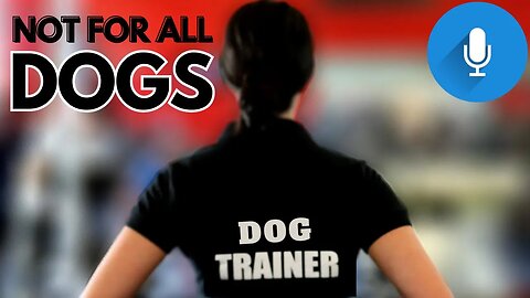 The Problems With Hiring A Dog Trainer or Attending Dog Training Class