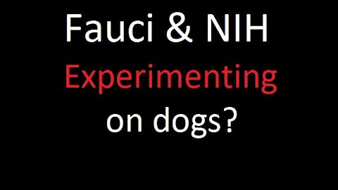 Fauci & NIH involved in Dog experimenting?