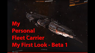 Elite Dangerous: My Personal Fleet Carrier - My First Look - Beta 1 - [00004]