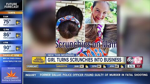 Pinellas Park girl helps shelter animals by selling her scrunchies