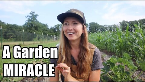 A Little Garden Miracle with a BIG Impact | Planting, Preserving, and Harvesting in Summer