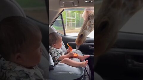 Baby Giving Food to Giraffe So Cute❤👍