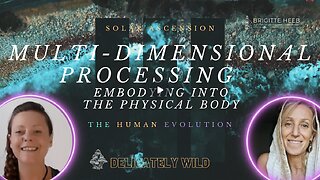 Delicately Wild Podcast. The Human Evolution. Multidimensional Processing. Episode #22