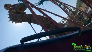 Busch Gardens Tampa Cobras Curse 4K POV