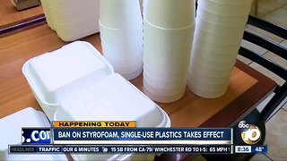 Ban on styrofoam, single-use plastic takes effect